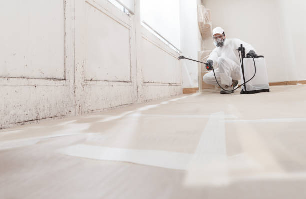 24/7 Emergency Commercial Mold Remediation experts in Plantation, FL